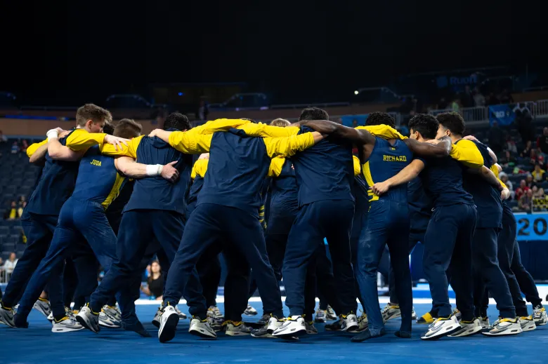 Men's Gymnastics Team